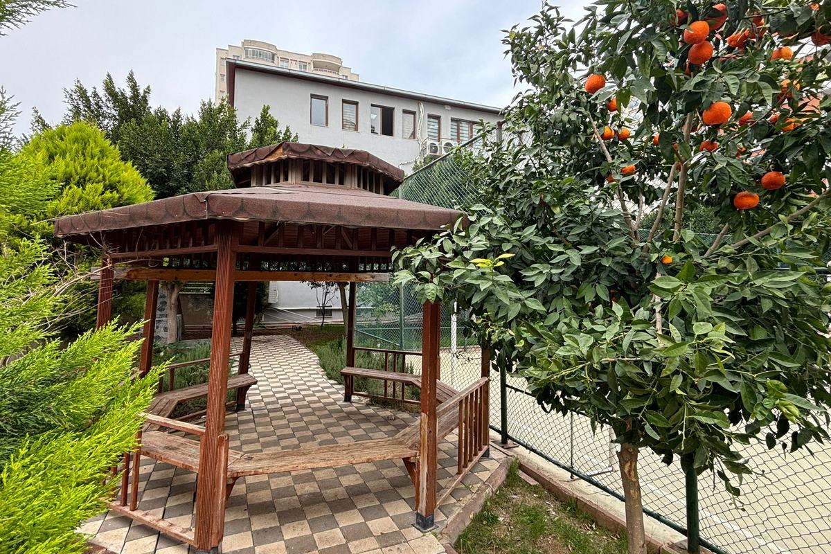 Seyhan Kampüsü bahçesinde ahşap çardak, narenciye ağacı ve okul binası